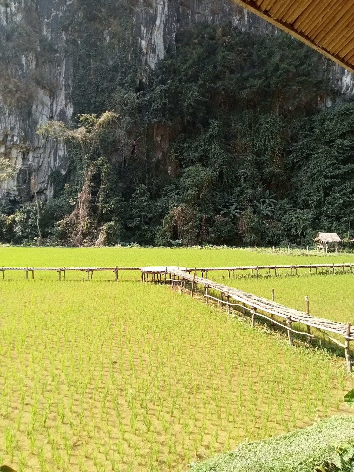 2 Days Nong Khiaw Experience Trek Ethnic Cultural Activities